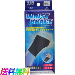 BRACE uCXT|[^[ p XguCX 1 Ep jp ֐ ɂ Q T|[g Œ e[sO