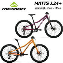 楽天市場】マウンテンバイク 24インチ（変速段数7 ～ 9段）（キッズ 