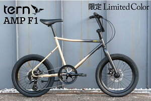 y[J[݌ɂz^[ AMP F1 ~ebhJ[ Black Champagne 2024Nf J[ ubNVp TERN ~jx a]