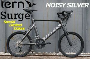 yZxX~ߑꕔzTERN ^[ Surge ~ebhJ[ NOISY SILVER 2025Nf J[ T[W ~jx[hoCN a]