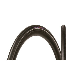 pi[T[ AGILEST `[u[ AWXg / 700×25mm 2{Zbg Panaracer ] ^C