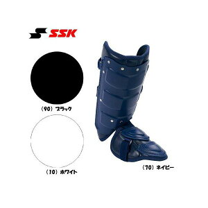 SSK(GXGXPC) tbgK[h EŎҗp FG100L ykCn zsiz