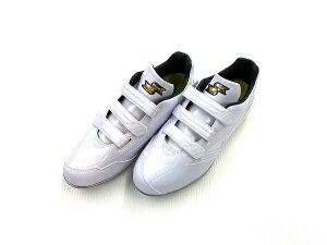 �O���[���[�hTT-V-W SSF3007