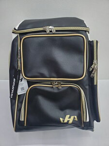 yhJz n^P}(HATAKEYAMA) x[X{[ obNpbN HKR-10PKB [ obOhJ2(PF̂)Eet̏ꍇA1+1100~(ō)]