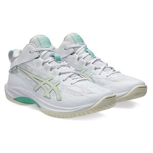 AVbNX(asics) oXPbg{[V[Y GELHOOP V17 STANDARD 1063A096-101