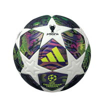 楽天市場】サッカーボール5号 公式試合球の通販