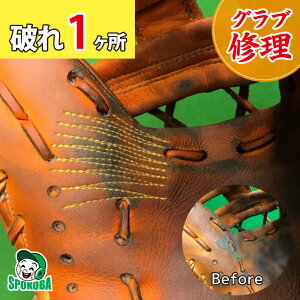 X|Ro(SPOKOBA) OuԂC 1 qOu Cr O[uC yA  eiX D C