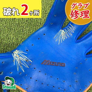 X|Ro(SPOKOBA) OuԂC 2 qOu Cr O[uC yA  eiX D C