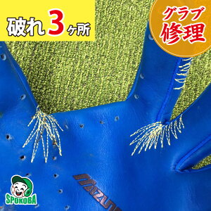 X|Ro(SPOKOBA) OuԂC 3 qOu Cr O[uC yA  eiX D C