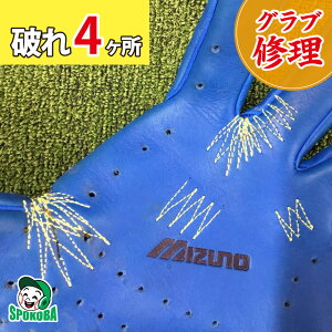 X|Ro(SPOKOBA) OuԂC 4 qOu Cr O[uC yA  eiX D C