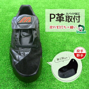 X|Ro(SPOKOBA) Pv t P (B+D) łDP   qXpCNHr H ⋭  ی Jo[ PJo[ t vZX  v ܐ 싅 D ykCn zsi