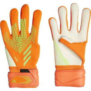 yadidaszAfB_X vf^[ GKO[u LGE [ GKO[u ]