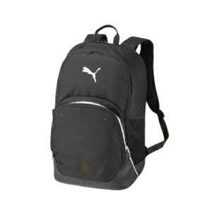 �yPUMA�z�v�[�} TEAMFINAL �o�b�N�p�b�N II 45L