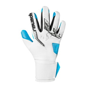 yreuschzCbV AgNg t[Q ANA [ GKO[u ]