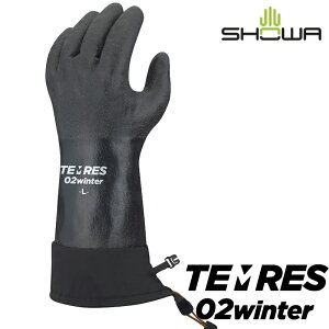 V[ eX 02 EB^[ SHOWA TEMRES 02 Winter ubN Ci|̌^hEhO[u eX winter02