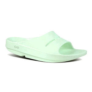 E[tHX E[A[ T_ OOFOS OOAHH Jo[T_ X|[cT_ 200002 jZbNX 