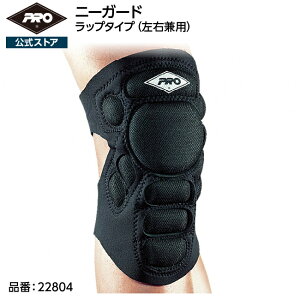 PRO K[hT|[^[ j[K[hi1jPROXgA v T|[^[ Ђ G bv^Cv Ep t[TCY ی EVA GEL Ռ veN^[ GNXg[X|[c XP{[ X