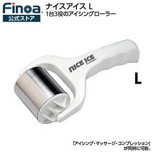 NICEICE iCXACX L RICEuACVO p  }bT[W N[_E