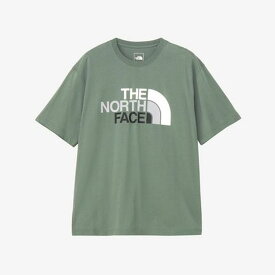 【2,000円OFFクーポン発行中】 ザ・ノース・フェイス THE NORTH FACE メンズ トレッキング アウトドア ウェア トップス Tシャツ S/S FD Colorful Logo Cotton Tee NT32539 DG 【2025SS】