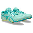 【最終処分品】 アシックス ASICS メンズ レディース 陸上 シューズ EFFORT 13 1093A167 301 【2025SS】