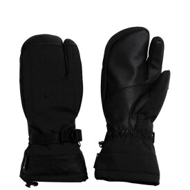 【クーポン発行中】 フェニックス PHENIX スキー GORETEX グローブ Time Space Gloves ESM23GL11 【23-24モデル】