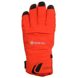 【クーポン発行中】 フェニックス PHENIX スキー GORETEX グローブ Thunderbolt Gloves ESM23GL10 【23-24モデル】