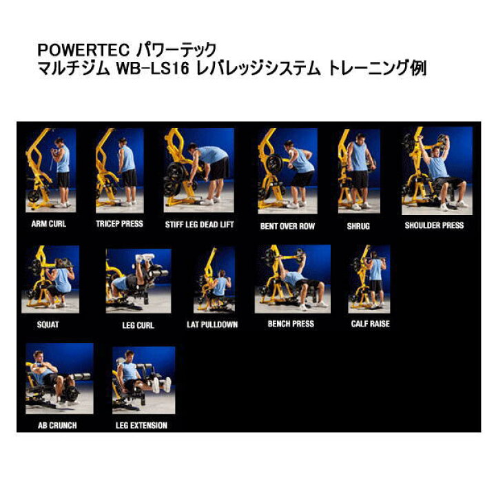 楽天市場】POWERTEC パワーテック マルチジム WB-LS19 レバレッジ 