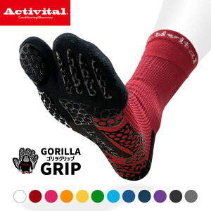 ANeBoC^ jO\bNX Activital PRO ܃^Cv 2