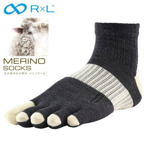 RxL A[G cbOEFA[ 5{wmE[jO\bNX M-MULTI MWS5002 `R[/ItzCg Cx3.2{ ΍ hC NbV fo ϋv { Eg