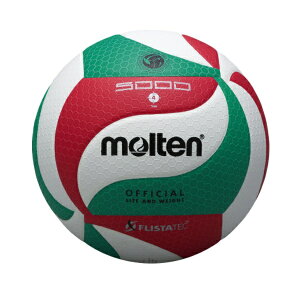 e molten tX^ebN o[{[5000 苅4 o[{[ V4M5000(××)