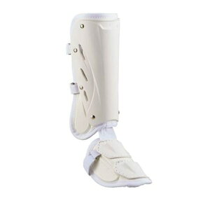 ZETT([bg) bOK[h E 싅piEveN^[ BLL2081L-1100(zCg)