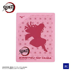 MIZUNO ~Ym ySł̐nzXC^I(NEZUKO) XC^I N2JY2097-84(usN) 22ss