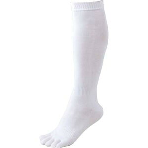 y[֑ΉzZETT([bg) 3g5{wA_[\bNX 24-27cm 싅\bNX BK035L-1100(zCg)