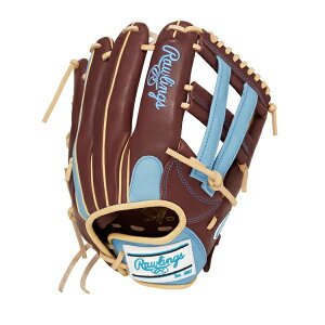 [OX \tg{[p fB[XtBbg HOH DP COLORS [I[Ehp] TCY 11.75 \tg{[Ou GS4FHDS65(_[NVF[/TbNX)