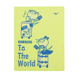 MIZUNO ~Ym XC^I j^I N2JYC504-43(F.CG[) 2025NfII