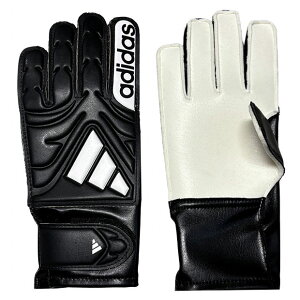 y11/20-11/26 |Cg10{zWjA Rp GKO[u Nu@ubN×zCg@yadidas|AfB_XzTbJ[S[L[p[O[ukwa38-jy0626