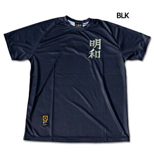 y11/1 |Cg10{zLve a001 vJjtH[@ygol|SzTbJ[tbgTEFA[g392-940