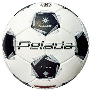 �y���[�_5000 �y�p�@�ymolten|�����e���z�T�b�J�[�{�[��5����f5k5001