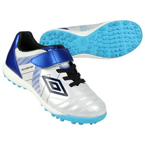 y11/10܂Ń|Cg10{zWjA ANZC^[ SB JR WIDE@zCg×u[@yUMBRO|AuzTbJ[WjAg[jOV[Yuf5sfct5j-whbl