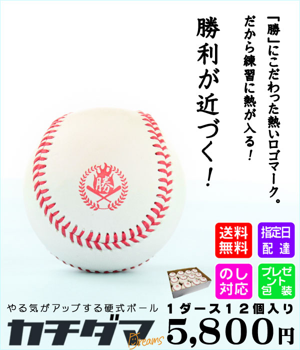 あなたの「夢」を応援する硬式練習球「カチダマ」です！　野球　硬式ボール　練習球　カチダマ　硬式野球ボール　1ダース　b004-d