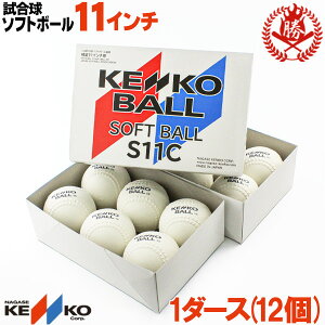 VKiΉ  / \tg{[ 11C`i2j iKZPR[ 苅 1_[X / \tg{[  S{[ wp S11C kenko-11-1d