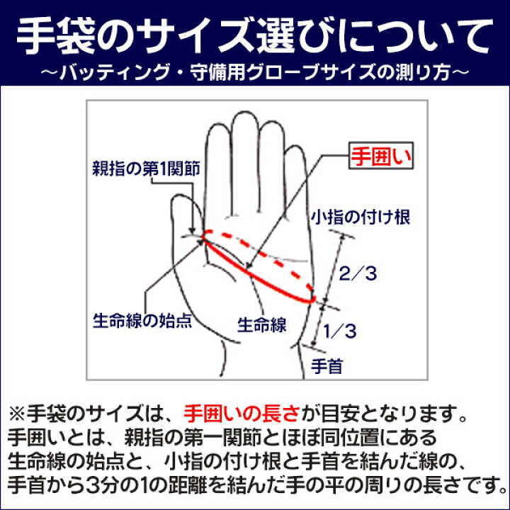 楽天市場 キャッチャー専用の守備手袋 ミズノ ミズノプロ 守備用手袋 S L キャッチャー専用 高校野球ルール対応 野球 ソフトボール 捕手用 パッド付 守備 手袋 一般 Mizuno 1ejed150 野球用品スポーツショップムサシ 楽天市場 キャッチャー専用の守備手袋 ミズノ ミズノプロ 守備用手袋 S L キャッチャー専用 高校野球ルール対応 野球 ソフトボール 捕手用 パッド付 守備 手袋 一般 Mizuno 1ejed150 野球用品スポーツショップムサシ