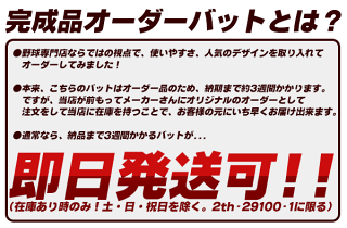 夢は甲子園出場!Vコング02と同じバランスのミズノプロ!ミズノ硬式バットミズノプロ硬式用金属バットオーダーバット完成品ミドルバランス硬式金属高校野球対応中学硬式でも使える硬式用バット2th-29100-1