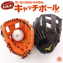 楽天市場】野球グローブ セットの通販