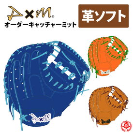 ディーバイエム オーダーミット 硬式革使用 ソフトボール MADE IN JAPAN オーダー D×M ソフト 硬式 キャッチャーミット z-dm-sc