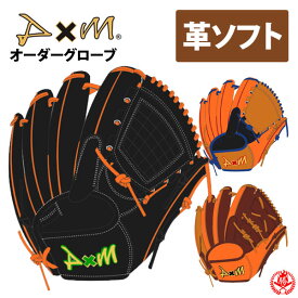 ディーバイエム オーダーグラブ 硬式革使用 ソフトボール MADE IN JAPAN オーダー D×M ソフト 硬式 グローブ z-dm-sg