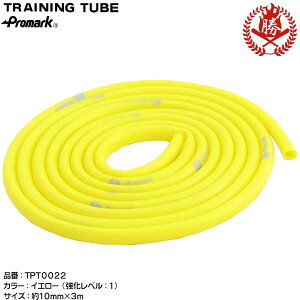 Ci[}bXb悤Iv}[N ԗiďC g[jO`[u x1 싅 g[jOpi ̊g[jO Ci[}bX `[u tpt0022