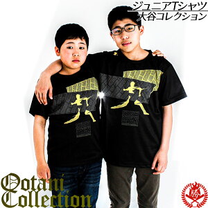 文字入りtシャツ 野球の通販 価格比較 価格 Com
