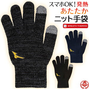 h  / ~Ymv jbg Y 싅  h ~p X}zΉ g t[X  mizuno pro 12jyba01 we-mi-0006