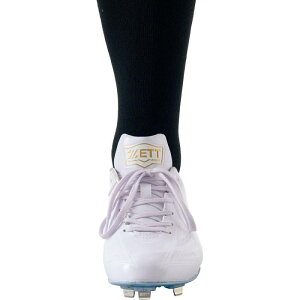 L 싅 XpCN   [bg XpCN Zett  ECjO[hWH BSR2207WH